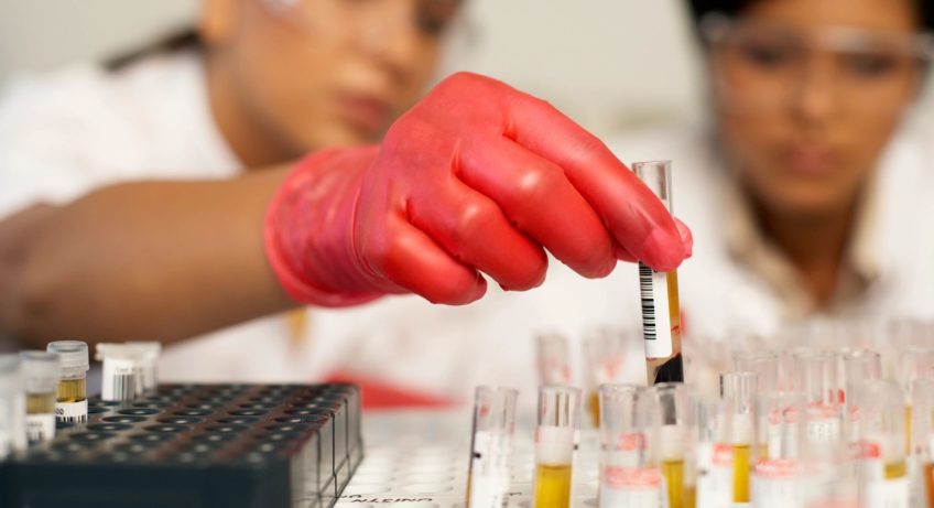 Science of Skin Care Ingredients | KPKids.net